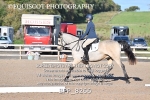 BPP_8266