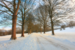 Croxdale in Snow