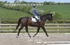 BPP_6235