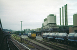 1st August 1981