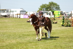 SBM_15545