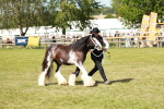 SBM_08610