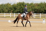 SBM_000339