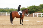 SBM_006581