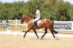 SBM_012355