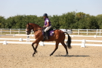 SBM_006395