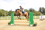 SBM_006443
