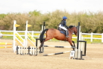 SBM_003631
