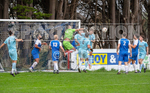 NORTH v ROVERS portfolio