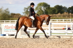 SBM_18296