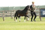 SBM_00411