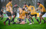 Guernsey Raiders v Henley 2023-28