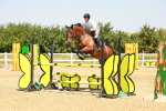 SBM_001555