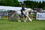 SBM_09306