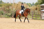 SBM_001945