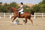 SBM_022533