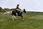 WJ5_5956
