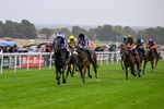 Race 4 3.35pm Ire-Incentive, It Pays To Buy Irish EBF Restricted Maiden Fillies' Stakes portfolio