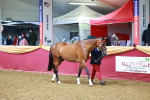SBM_16106