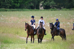 Group 2 portfolio