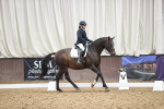 SBM_019528