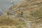 Peris Horseshoe-208
