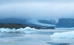 Fjarlsarlon glacier and ice bergs 1
