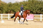 SBM_018590