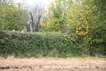 WJ6_7560
