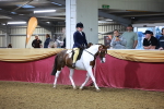 SBM_14887