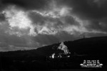 Portfolio 29