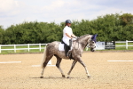 SBM_000595