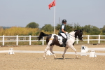 SBM_004266