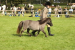 SBM_62799
