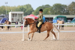 SBM_10719_Class 303 - Ridden Pure Bred Horse-Pony