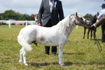 DSC06612