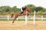 SBM_003008