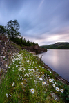 Tegg's Nose sunset from Ridgegate (3)