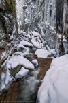 Winter Gorge III