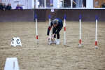 SBM_006190
