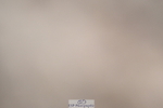 240611A-155829-00021