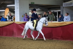 SBM_15705