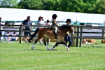 SBM_06443