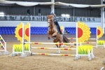SBM_001370