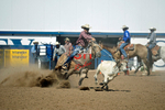 3HRodeo8-11-25_PRCASteer_07918_