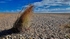 Suffolk Beach