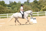SBM_009144