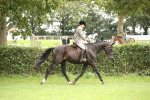 SBM_73679