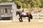 SBM_001475