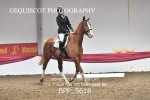 BPP_5618